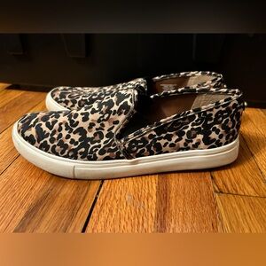 Steve Madden leopard slip on sneakers